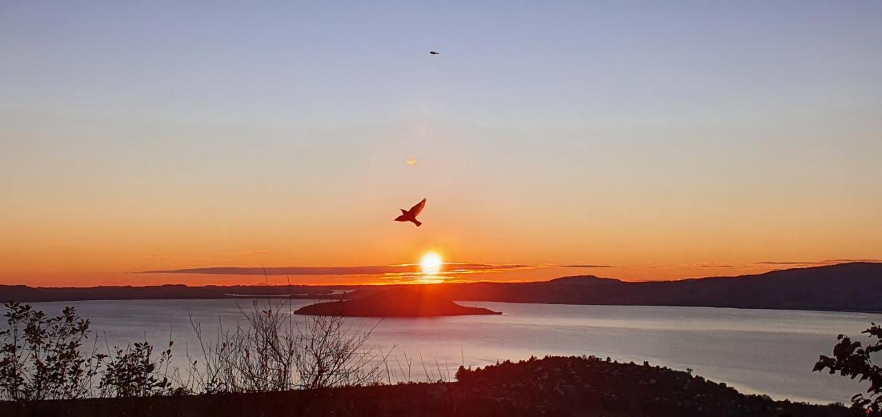 Aorangi Mountain Lodge Rotorua Dış mekan fotoğraf