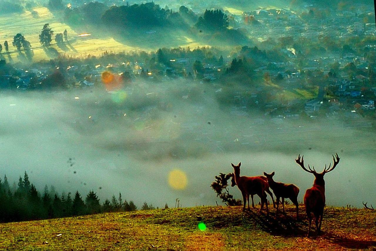 Aorangi Mountain Lodge Rotorua Dış mekan fotoğraf